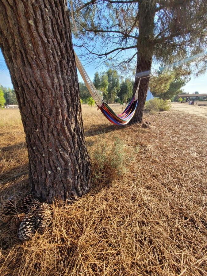 Готель Goodmuda Tipi'S Грандола Екстер'єр фото